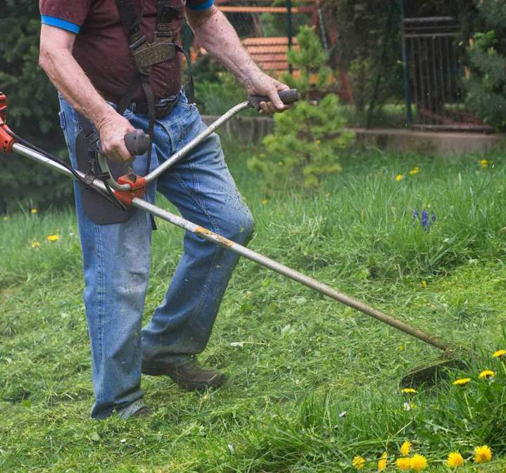 Entretien paysager Ariège